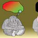 international cartoon competitions in india